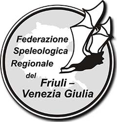 Logo FSR-FVG