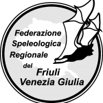 Logo FSR-FVG