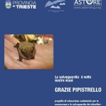 Grazie pipistrello - Copertina