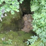 Ingresso Inferiore Grotta di Vedronza quasi occluso da una frana