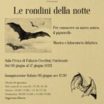 Invito mostra Le rondini della notte - Cordovado, 3/6/2023